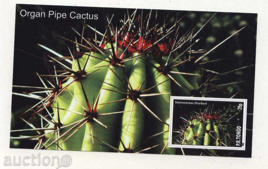 Pure Cactus 2010 bloc de Tongo