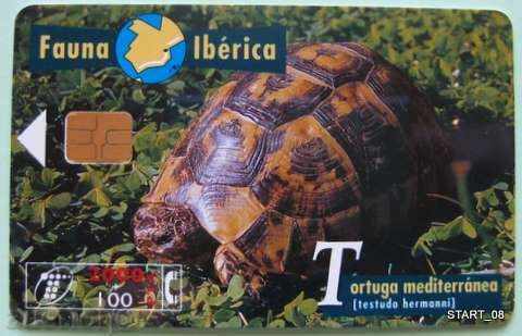 Card de telefon SPANIA