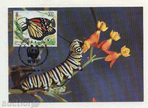 Maps Max Butterflies 1988 from Mexico - 5 Maps Max Butterflies 1988 from Mexico - 5