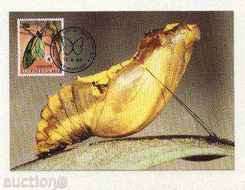 Delivery of Maps Max Butterflies 1988 from Papua New Guinea Delivery of Maps Max Butterflies 1988 from Papua New Guinea