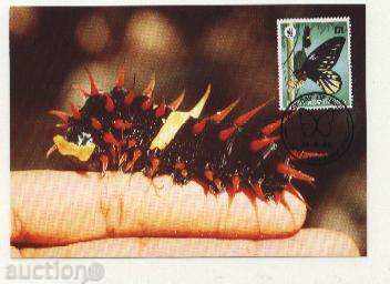 Maps Max Butterflies 1988 from Papua New Guinea - 5 Maps Max Butterflies 1988 from Papua New Guinea - 5