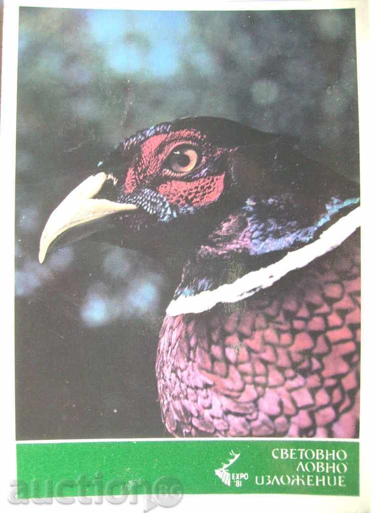Card - expoziție mondială de vânătoare - 1981 - nouă