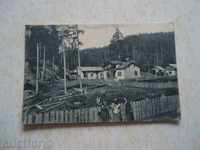 Чепино лесничейство  1927 г. картичка