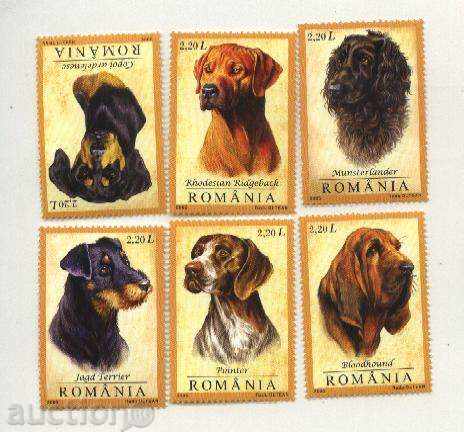 Чисти марки Кучета 2005 от Румъния