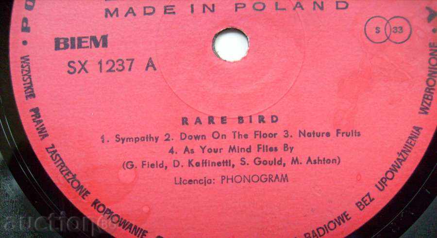 Auction record label - Rare Bird / Simpathy Auction record label - Rare Bird / Simpathy