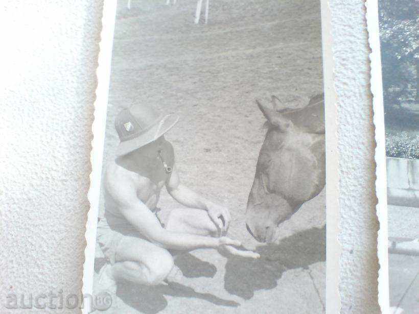 Auction lot of 6 photos of military Auction lot of 6 photos of military