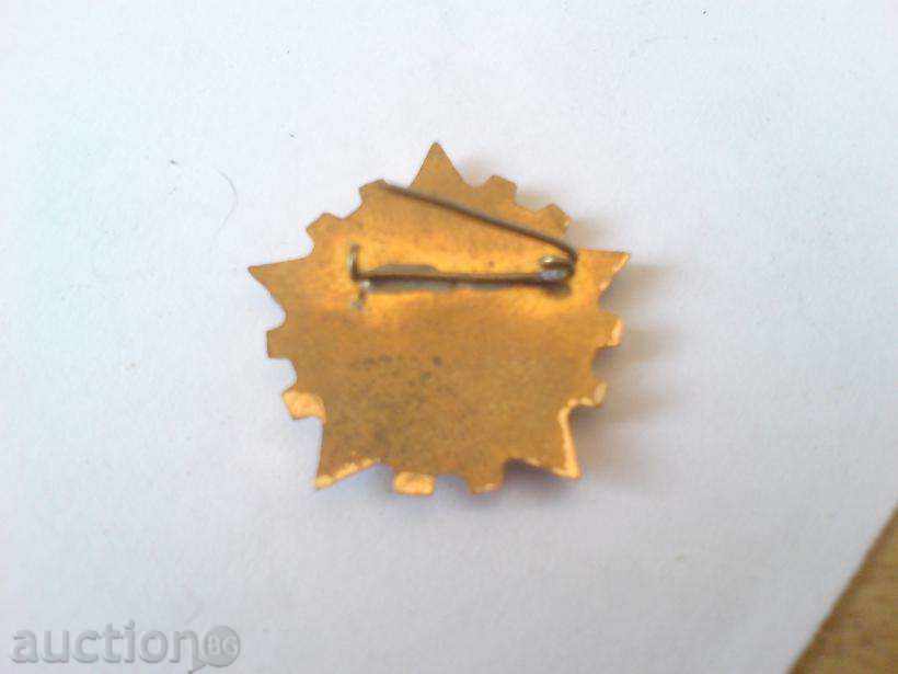 Badge - Excellent Industry with price 7.00 BGN | € 3.58