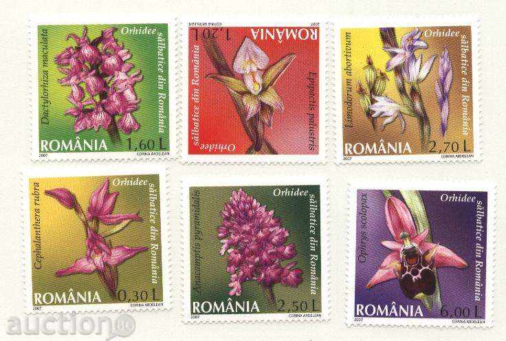 Чисти марки  Цветя Орхидеи 2007 Румъния
