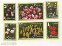 Чисти марки  Цветя Лалета 2006 Румъния
