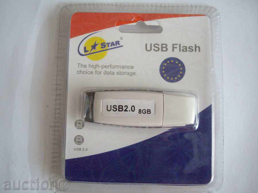 USB stick 8 GB.