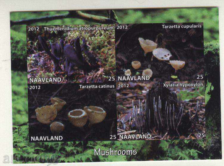Clean Blub Mushroom 2012 from Navland