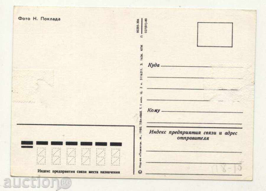 Postcard Congratulations 1980 from the USSR with price 1.00 BGN | € 0.51 Postcard Congratulations 1980 from the USSR with price 1.00 BGN | € 0.51