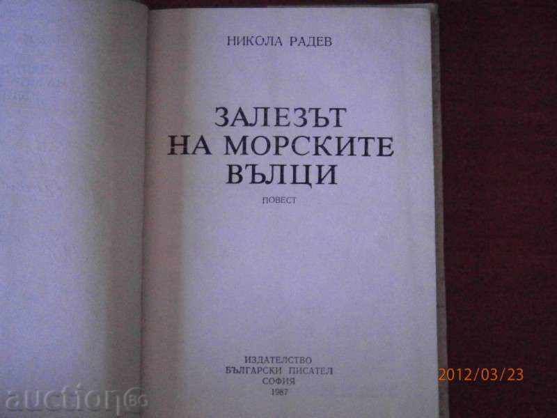Delivery of Nikola Radev - THE SUMMER OF THE SEA WALES 1987 Delivery of Nikola Radev - THE SUMMER OF THE SEA WALES 1987