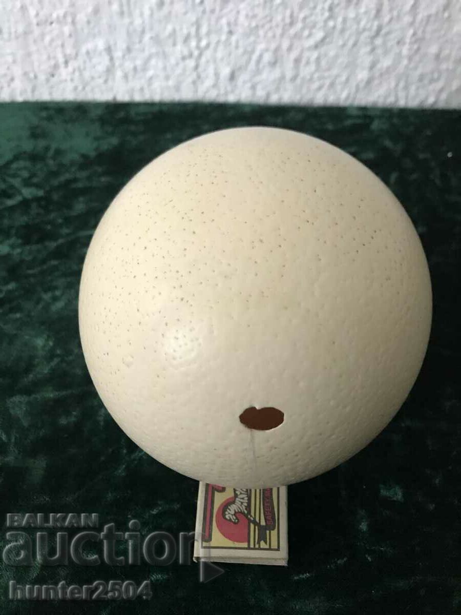 "PLAYBOY" Magazine BG number 15 with Tina, Samantha Fox. with price 44.95 BGN | € 22.98