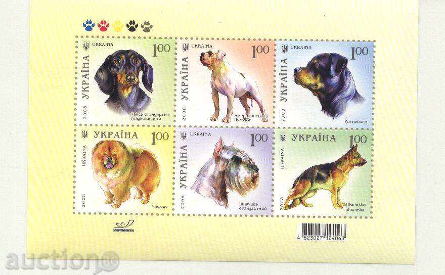 Καθαρίστε τα σκυλιά μπλοκ 2008 Ουκρανία
