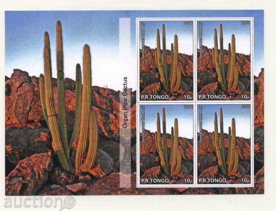 Clean bloc Cactus 2011 Tongo