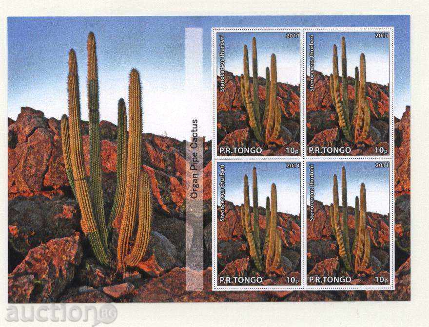 Clean Block Cactus 2011 Tongo