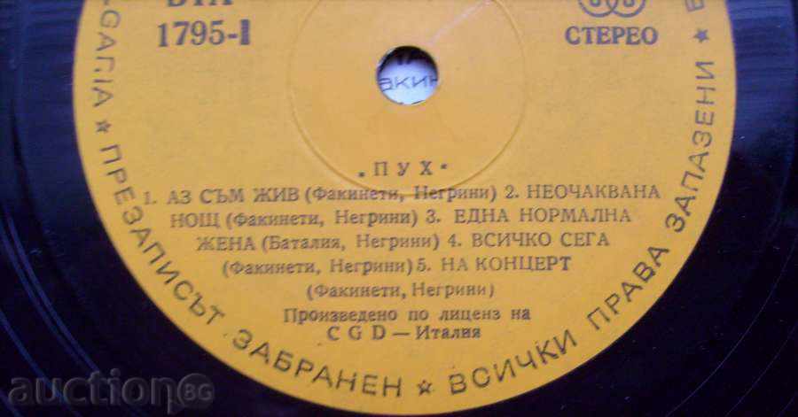 Auction gramophone record - Pooh Group - Viva - № 1795 Auction gramophone record - Pooh Group - Viva - № 1795