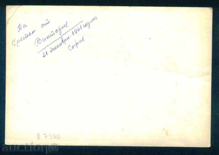 Art. Tsoneva - mock and puppies DOG CONCERT A7386 with price 2.50 BGN | € 1.28 Art. Tsoneva - mock and puppies DOG CONCERT A7386 with price 2.50 BGN | € 1.28