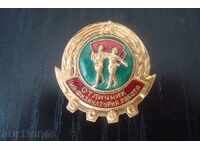 Badge, email "Excellence in Physical Education BSFS" 50s.