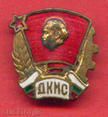 Auction Badge - CCS / Z135 Auction Badge - CCS / Z135