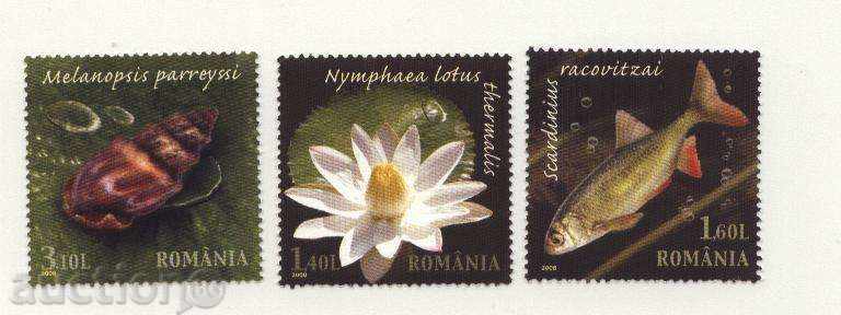 Чисти марки  Флора и Фауна 2008 от Румъния