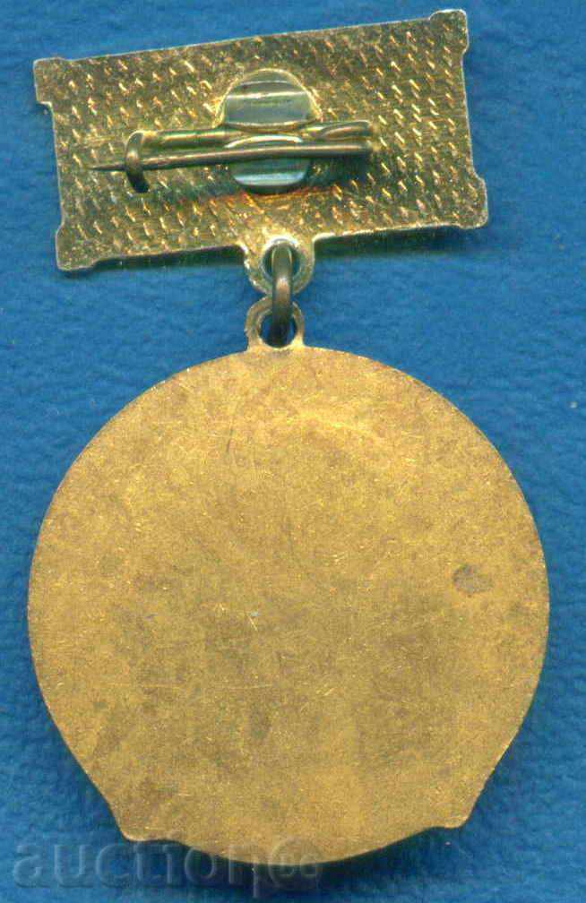 Auction  Badge MULTIPLE OF THE BUILDINGS AND ARCHITECTURE / Z498