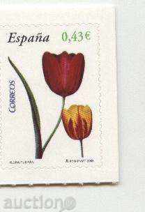 Pure tulip brand 2008 from Spain