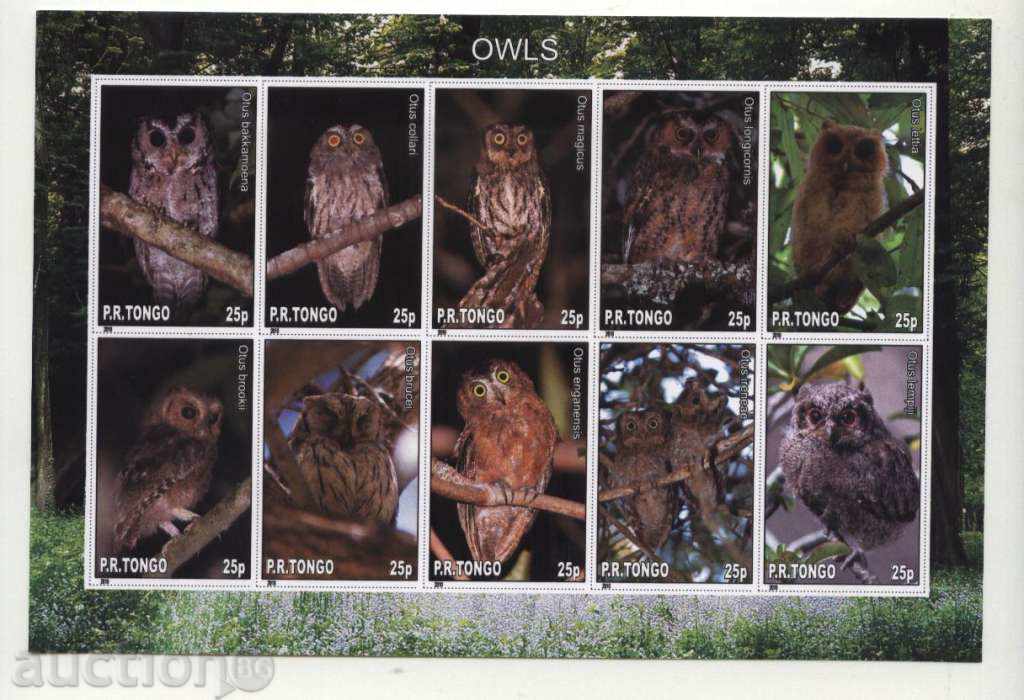 Owls bloc curat 2010 Tongo