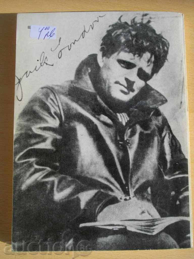 Auction  Book '' The White Tooth - Jack London '' - 209 pages *