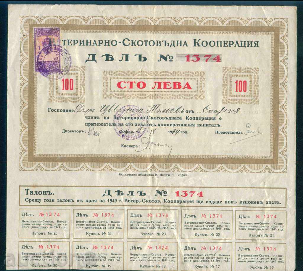 Акция 100 лв СОФИЯ 1934 ВЕТЕРИНАРНО СКОТОВЪДНА КООП,  6К151