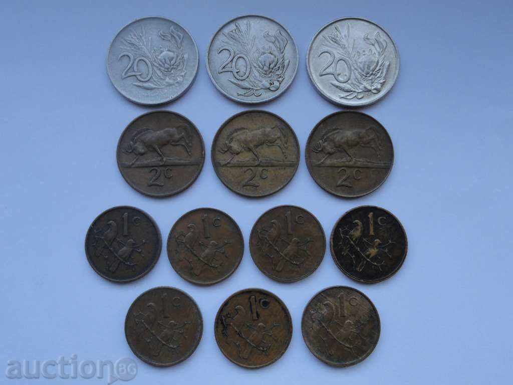 Delivery of South Africa - Lot 13 Delivery of South Africa - Lot 13