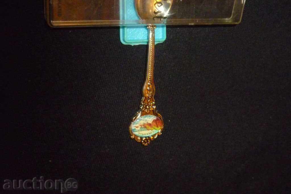 Delivery of Souvenir with silver enamel Delivery of Souvenir with silver enamel