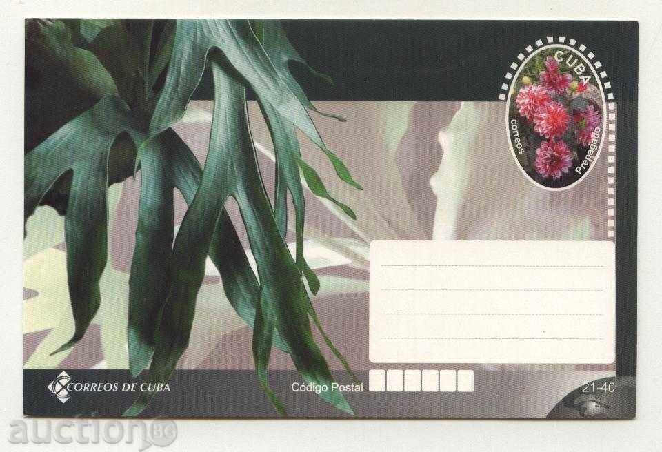 Postcard Flora Flowers from Cuba