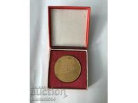 Plaque - 1300 B. Bronze, 6 cm