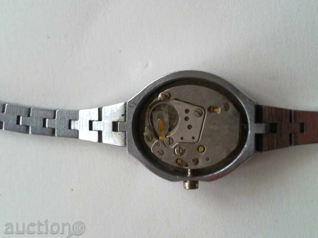 Auction Seagull Auction Seagull