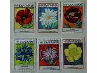 1973 Polish Flowers.