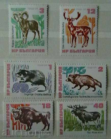 1973 Rare mammals.
