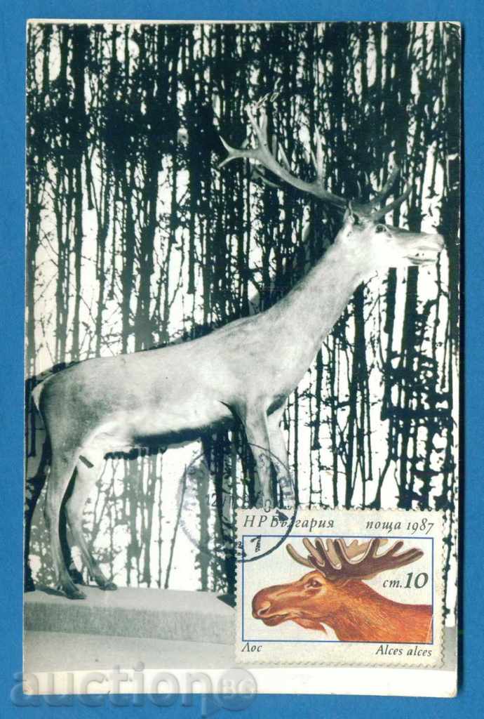 Map Max - fauna VOS / 120229 with price 1.99 BGN | € 1.02 Map Max - fauna VOS / 120229 with price 1.99 BGN | € 1.02