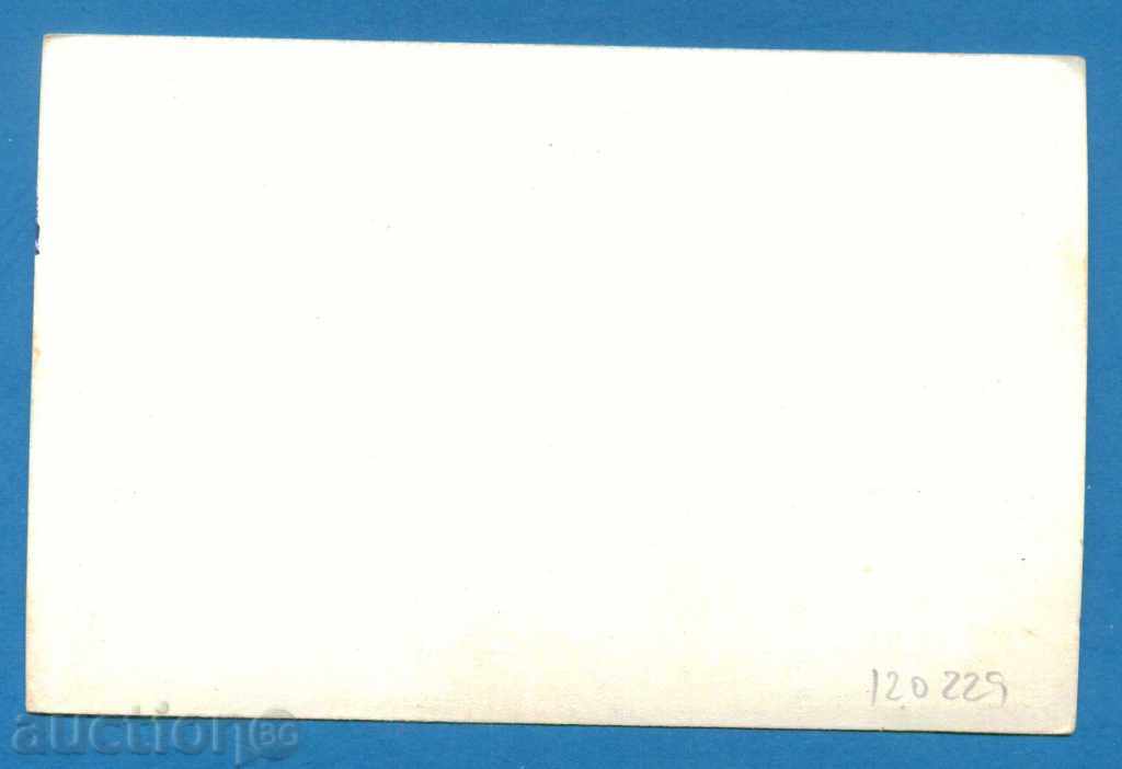 Auction Map Max - fauna VOS / 120229 Auction Map Max - fauna VOS / 120229