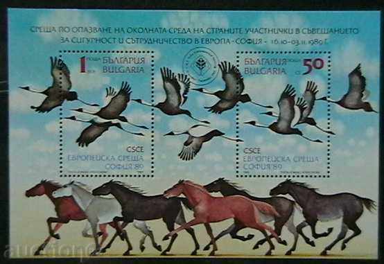 1989 Reuniunea privind blocul de mediu.