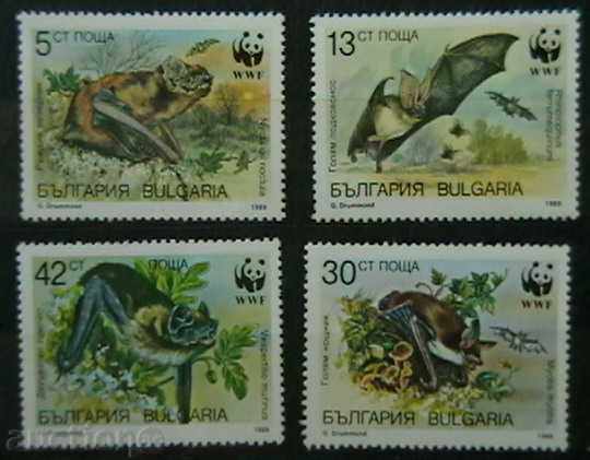 1989 Παγκόσμιο Ταμείο για τη Φύση - νυχτερίδες.