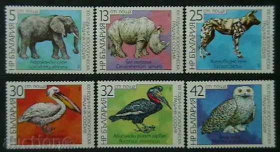 1988 100th Zoo in Sofia.