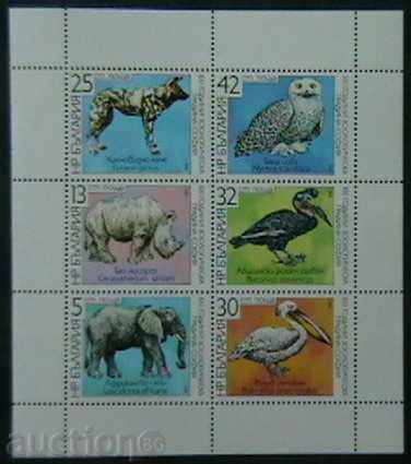 1988 100, grădina zoologică din Sofia.