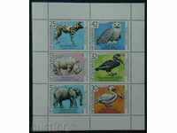 1988 100, το ζωολογικό κήπο της Σόφιας.