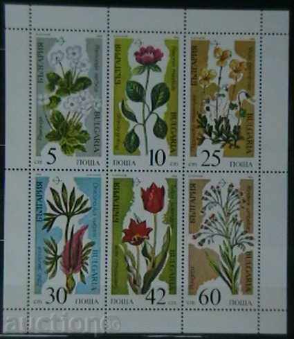 1989 Plant threatened by extinction-small leaf