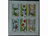 1989 φυτά απειλούμενων μικρότερο φύλλο