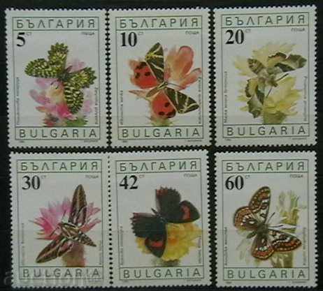 1990 Butterflies.