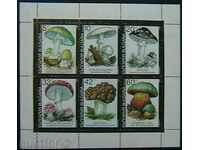 1991 ciuperci veninosi foaie mai mici.