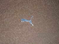 Знак  - метална емблема на спортна марка "Puma".